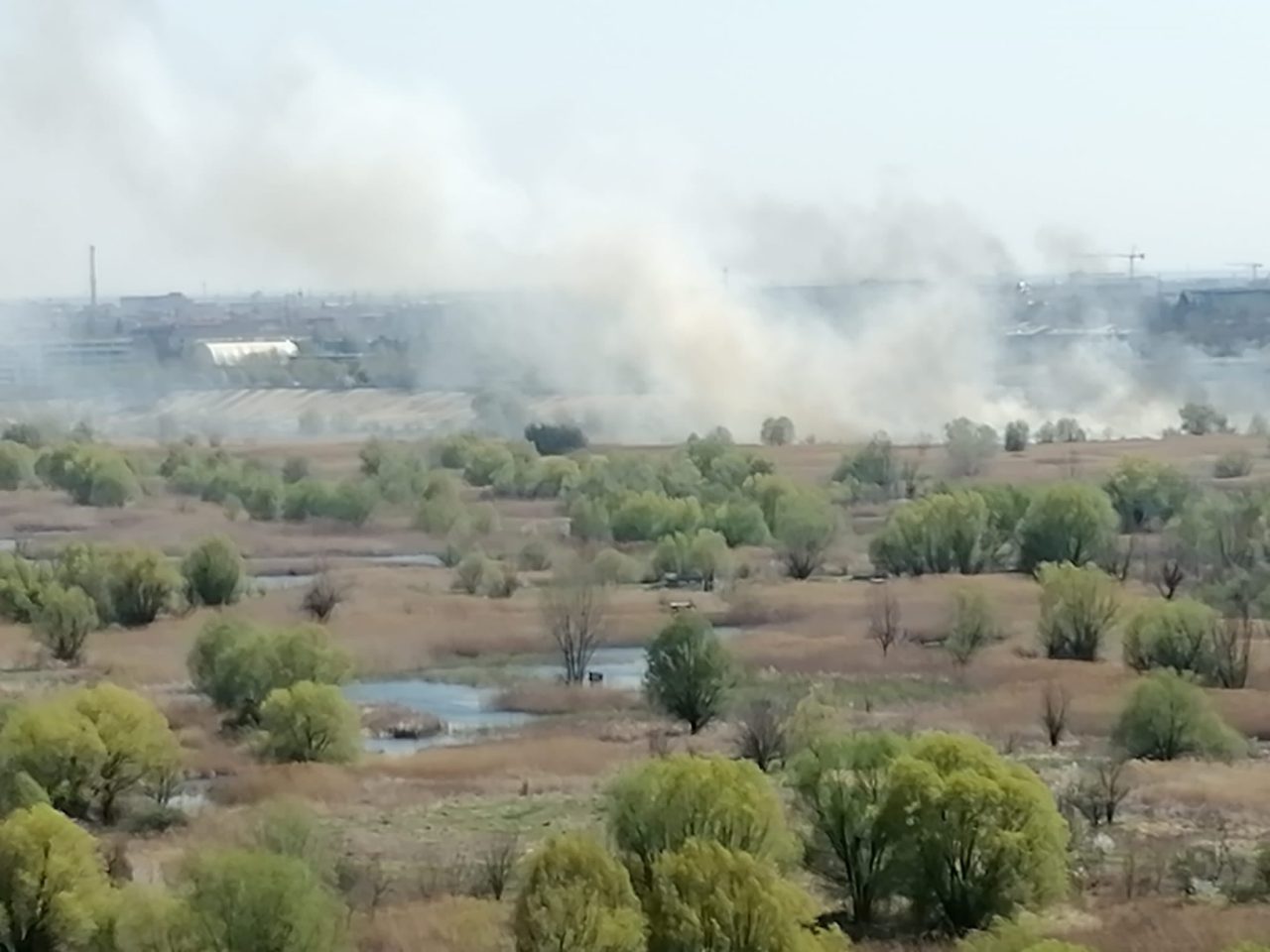 VIDEO | Incendiu violent în Delta Văcărești. Ard 5.000 de metri pătrați
