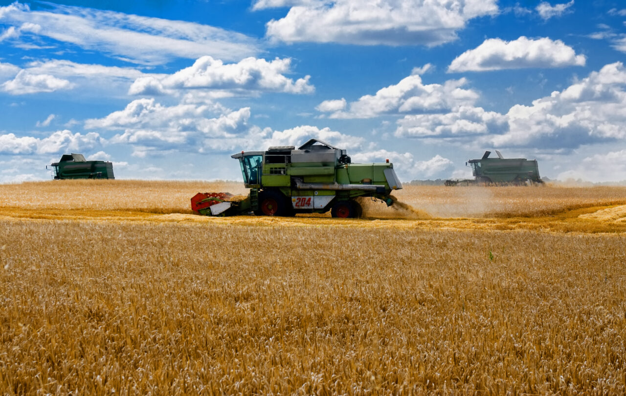 Ucraina a trimis 80.000 de tone de cereale în România, pentru a fi exportate mai departe