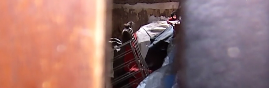 Un bărbat dintr-un cartier de lux al Capitalei creşte de câțiva ani zeci de şobolani în apartament. La ce soluții s-au gândit vecinii pentru a scăpa de rozătoare