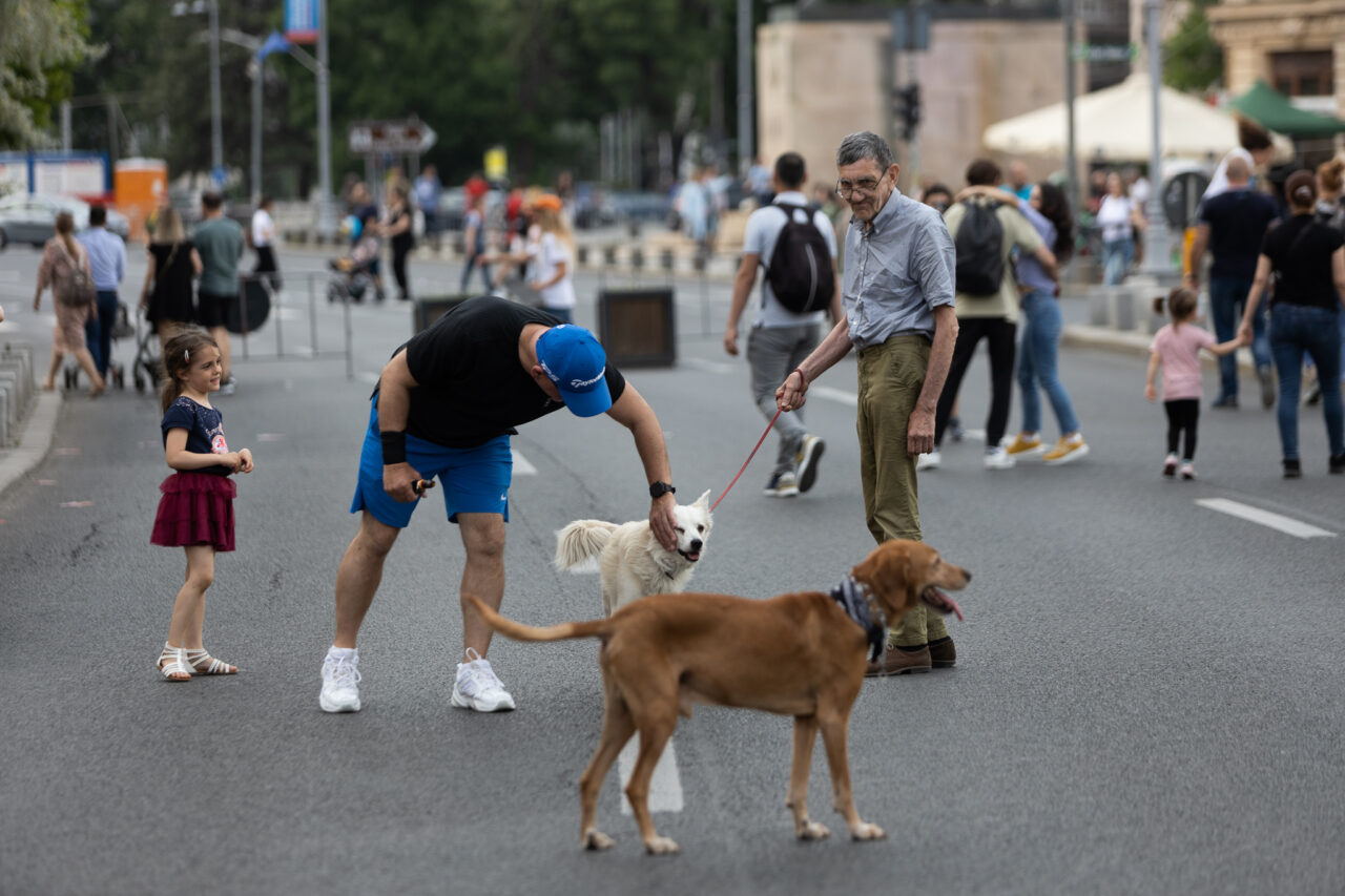 Cu ce noutăți continuă weekendul cu Străzi deschise, pe Kiseleff, Calea Victoriei, dar și în sectoare | GALERIE FOTO
