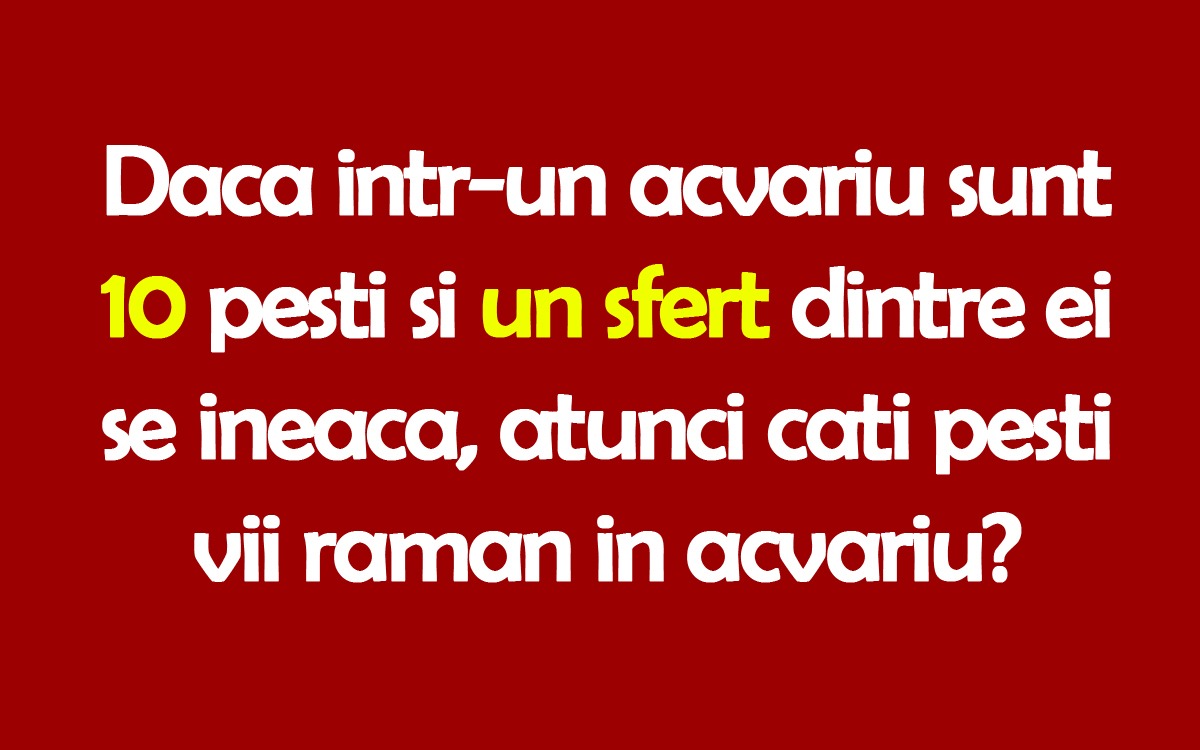 Test IQ | Dacă într-un acvariu sunt 10 pești și un sfert dintre ei se îneacă, atunci câți pești vii rămân în acvariu?