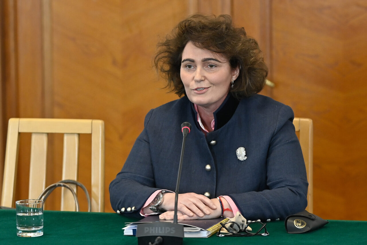 Iulia Scântei, propusă de PNL, este noul judecător CCR din partea Senatului. O va înlocui pe Mona Pivniceru
