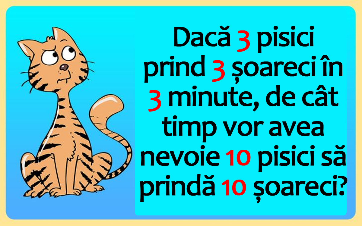 Test IQ cu 10 întrebări | Prima: Dacă 3 pisici prind 3 șoareci în 3 minute, de cât timp vor avea nevoie 10 pisici să prindă 10 șoareci?
