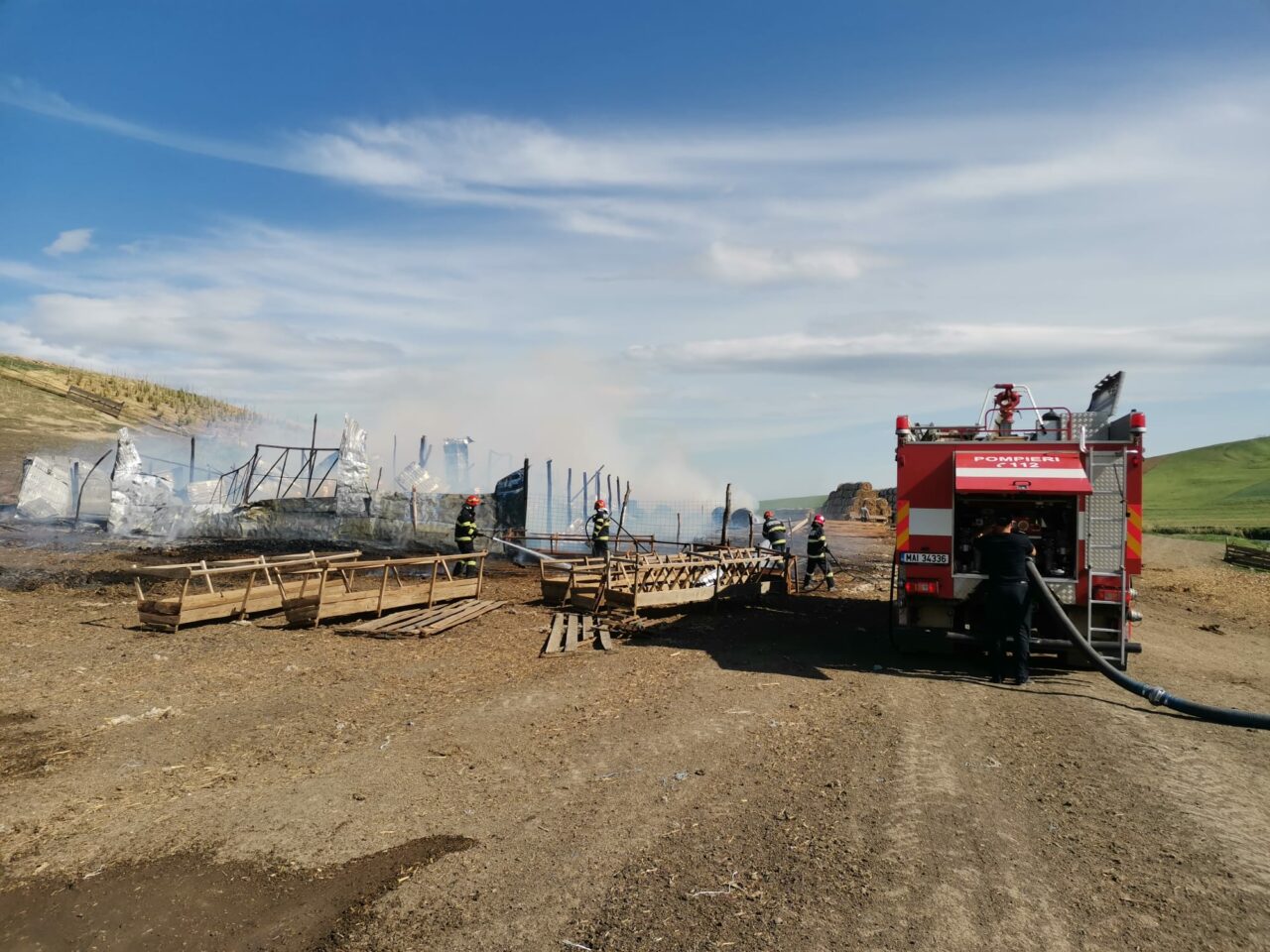 FOTO-VIDEO | Peste 200 de oi au murit într-un incendiu izbucnit într-o localitate din județul Botoșani