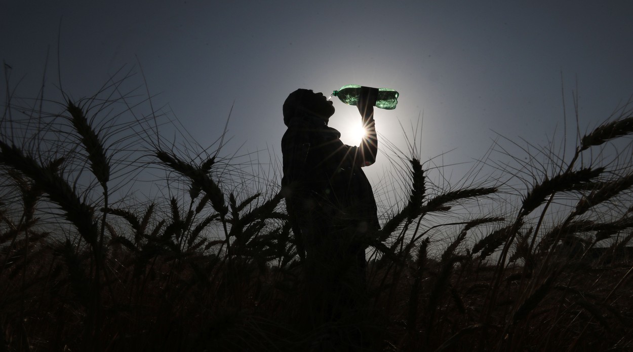 Record de căldură în India. Termometrele au indicat peste 49 de grade Celsius