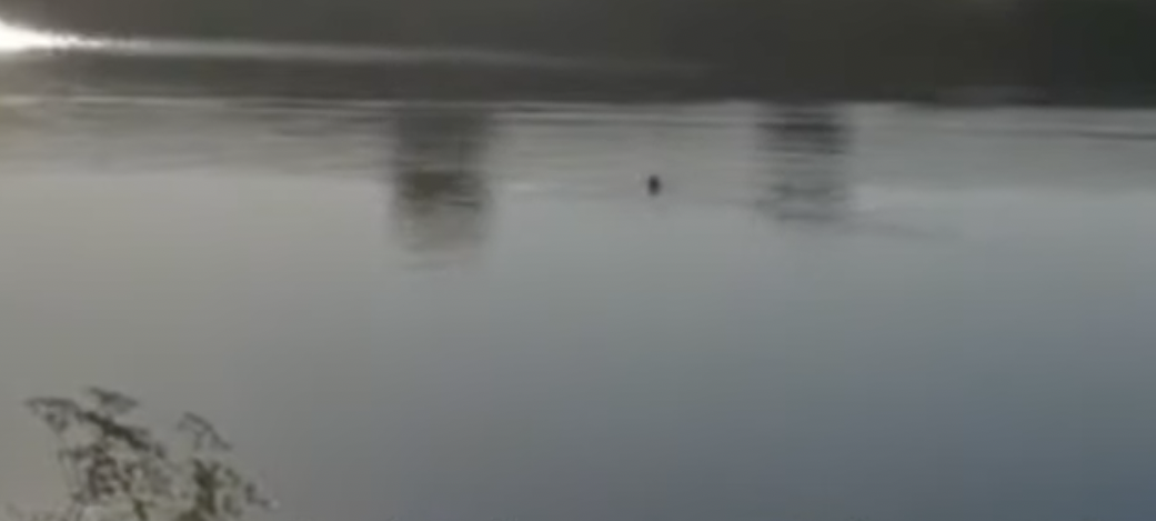 VIDEO. Un bărbat a fost filmat în timp ce se îneca într-un lac. Pescarii care priveau: „Se duce cu capul la fund! S-a înecat”
