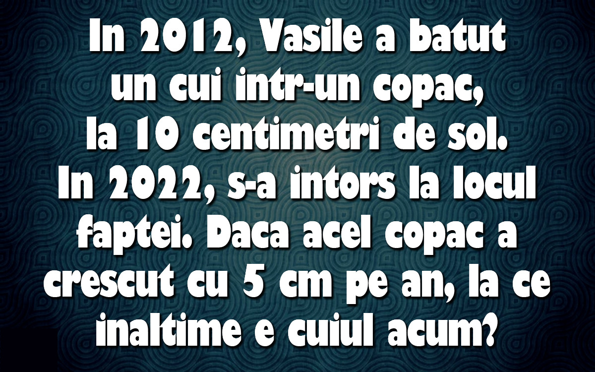 IQ TEST | În 2012, Vasile a bătut un cui într-un copac, la 10 cm de sol. În 2022, s-a întors la locul faptei. Dacă acel copac a crescut cu 5 cm pe an, la ce înâlțime e cuiul acum?
