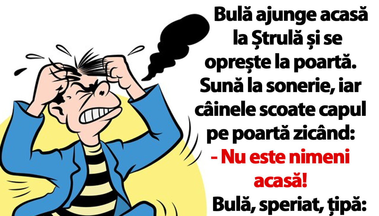 BANC | Bulă ajunge acasă la Ștrulă și se oprește la poartă: „Nu este nimeni acasă!”
