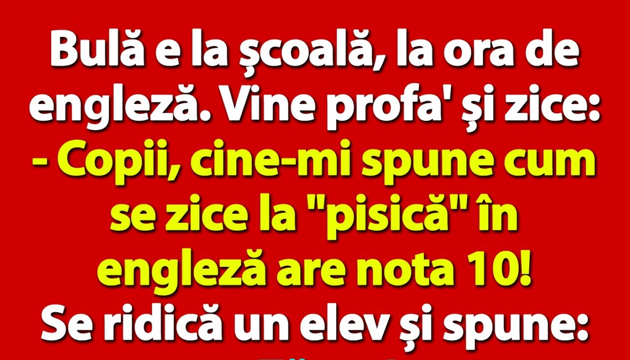 BANC | Bulă e la școală, la ora de engleză. „Copii, cine-mi spune cum se zice la ‘pisică’ în engleză are nota 10!”