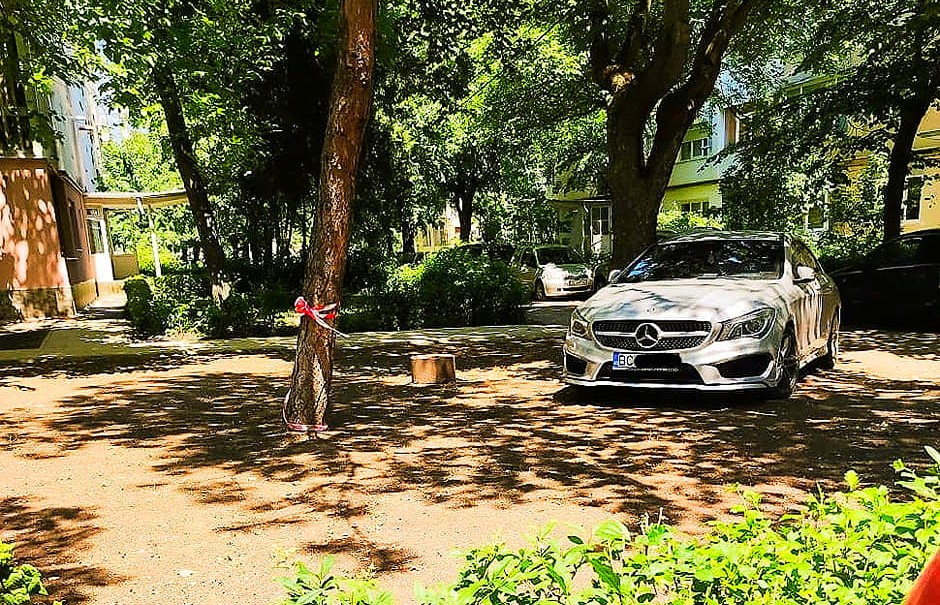 FOTO | Ce a pățit un șofer de Mercedes care și-a parcat mașina într-un părculeț din Bacău