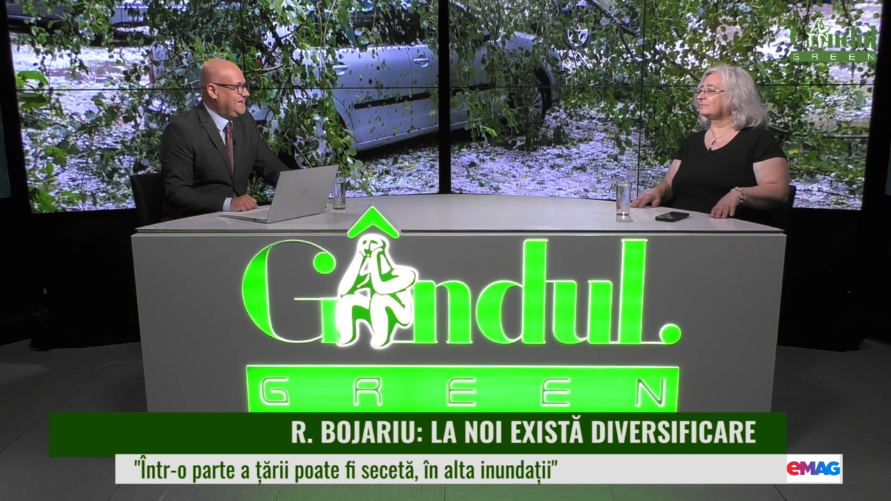 GÂNDUL GREEN | Roxana Bojariu: „România are o multitudine de factori locali și există o diversitate foarte mare de soluri, de relief. Poți să ai secetă într-o parte, inundații în alta”