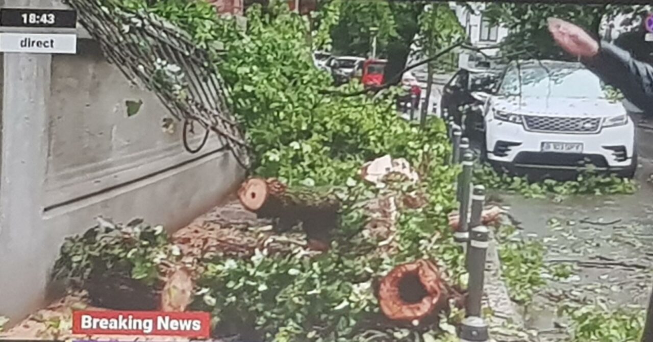 Un pom a căzut peste gardul sediului PNL din București, după furtuna care a devastat Capitala