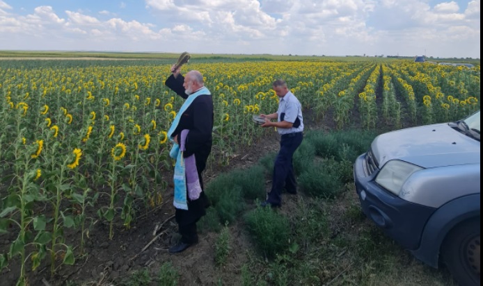 Un primar a adus preotul pe câmp să sfințească recolta și să aducă ploaia. „Mai bine facem un sistem de irigații”