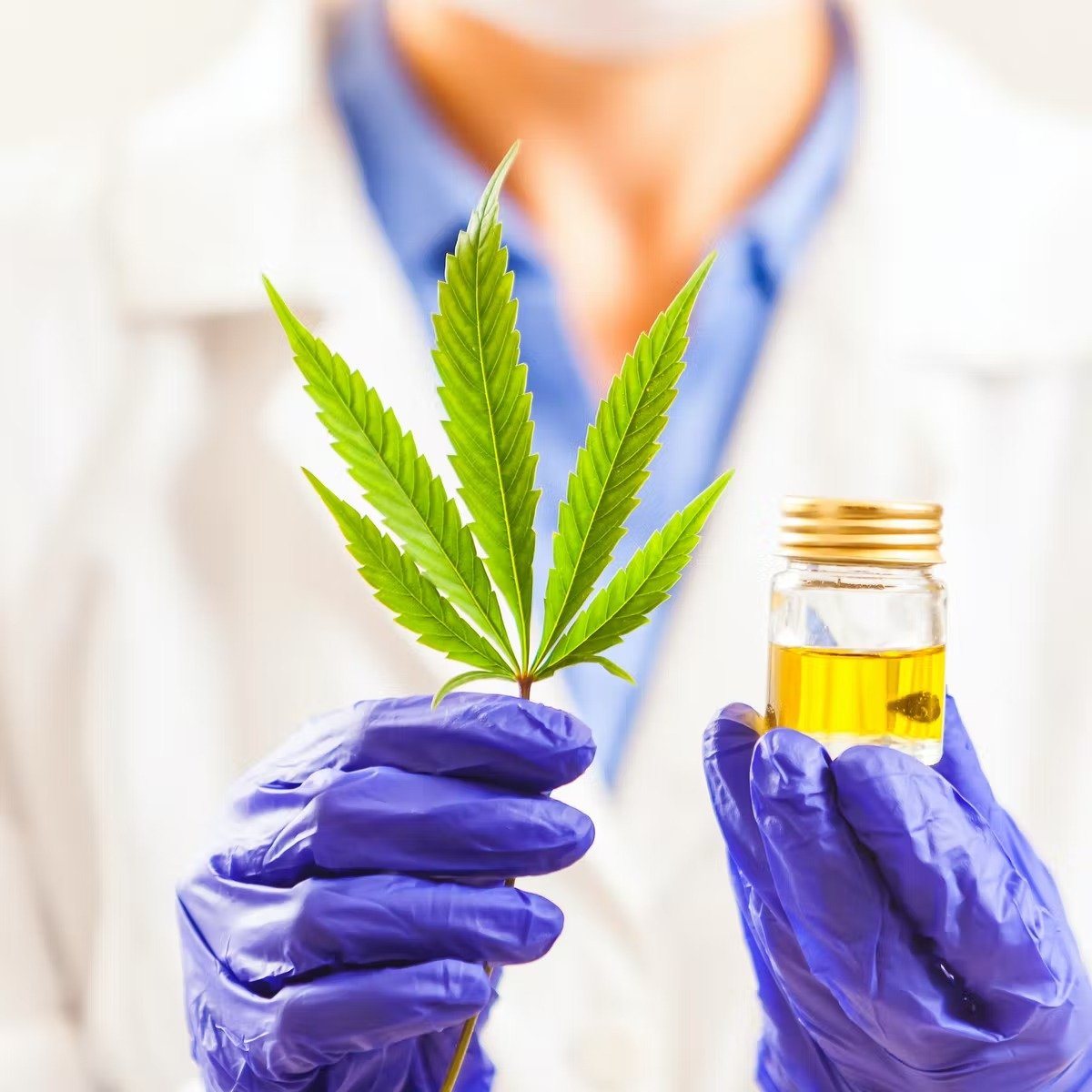 EXCLUSIV | Legea ”Victoria” și drumul blocat spre legalizarea canabisului în scop medicinal. Povestea Alexandrei Cârstea, inițiatoarea unui demers născut din suferință: „Am cunoscut sute de pacienți obligați să devină «infractori» în disperarea de a-și salva viața”