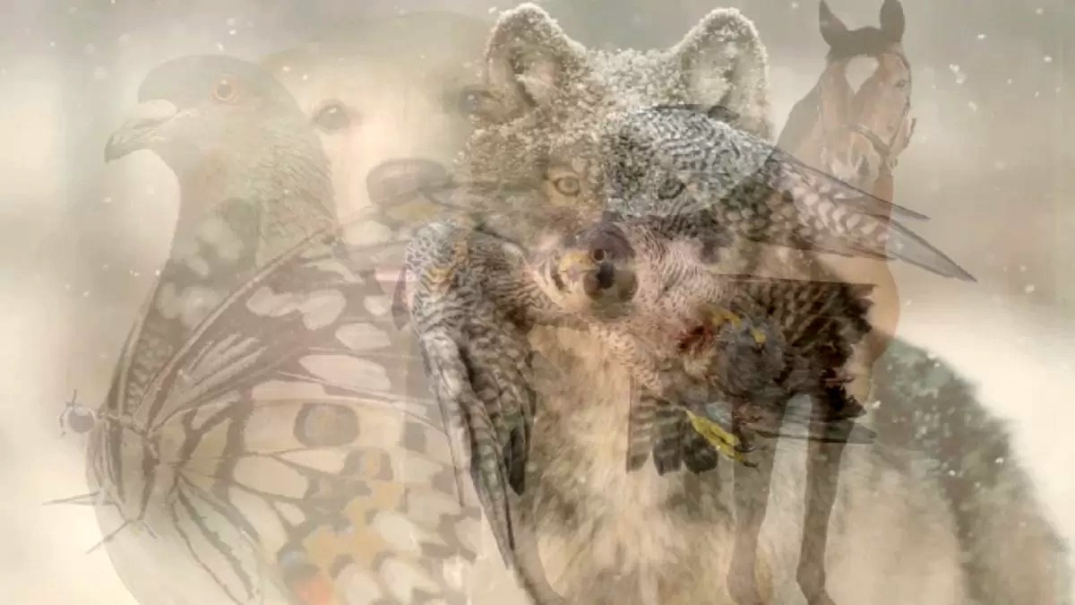 Test psihologic | Ce animal vezi în această fotografie? Răspunsul îți va spune cum ești, de fapt, într-o relație