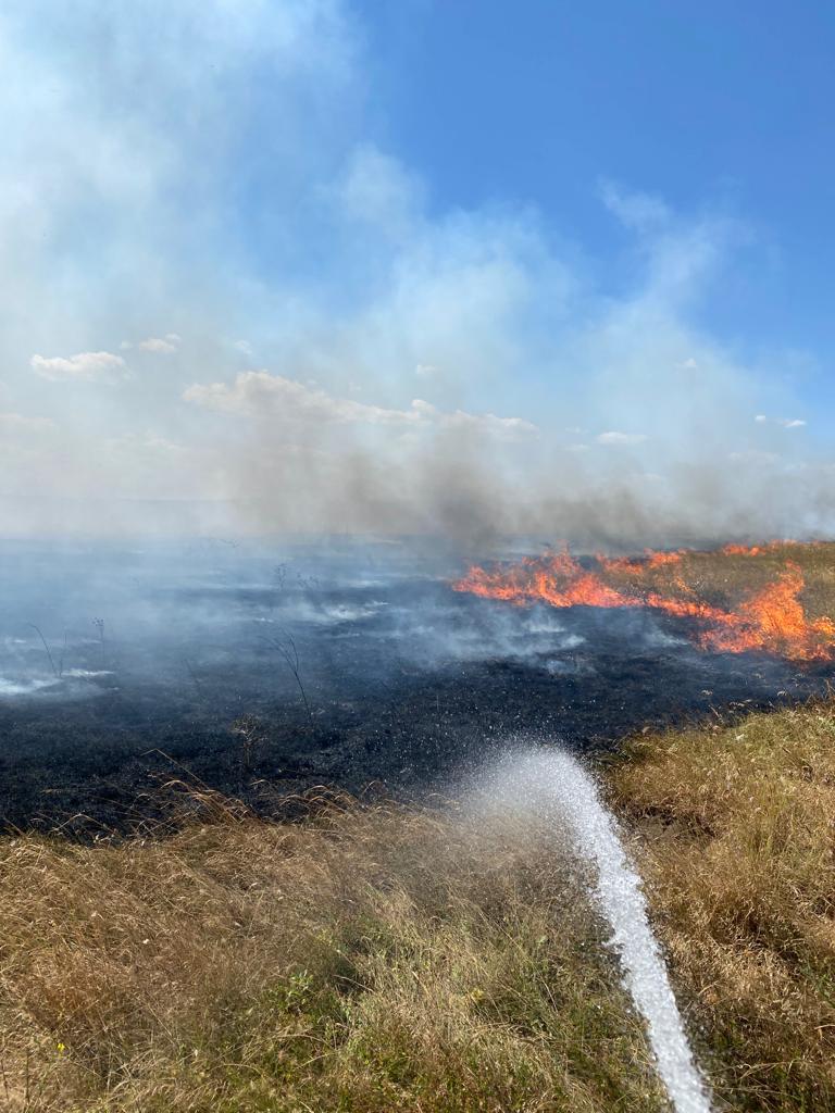 ISU Tulcea: Cauza probabilă a incendiului pe sute de hectare de lângă Poligonul Babadag a fost căderea unui obiect proiectil. Ce pagube ar urma să acopere Ministerul Apărării și partenerul francez