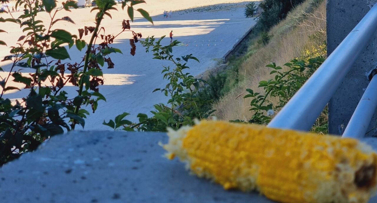 Mult mai scump decât berea. Câți lei a ajuns să coste un porumb fiert pe plaja din Eforie Nord