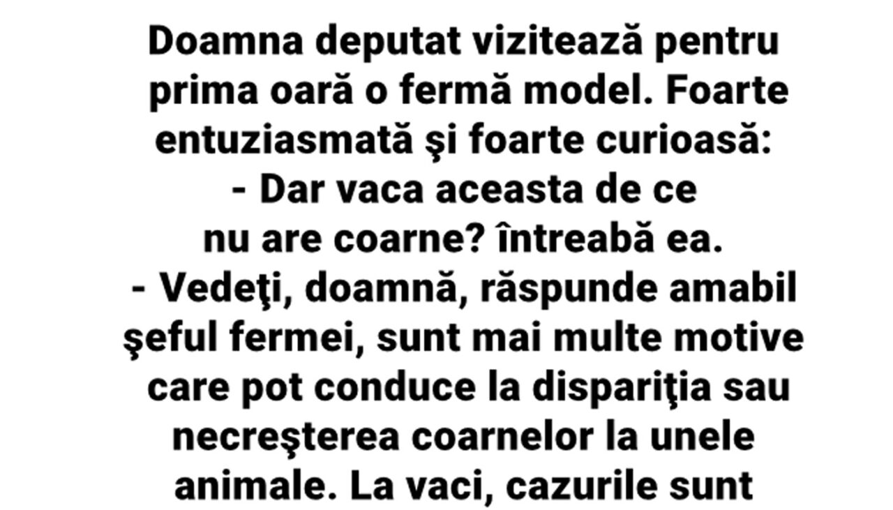Bancul de vineri | Doamna deputat vizitează pentru prima oară o fermă: „Vaca aceasta de ce nu are coarne?”