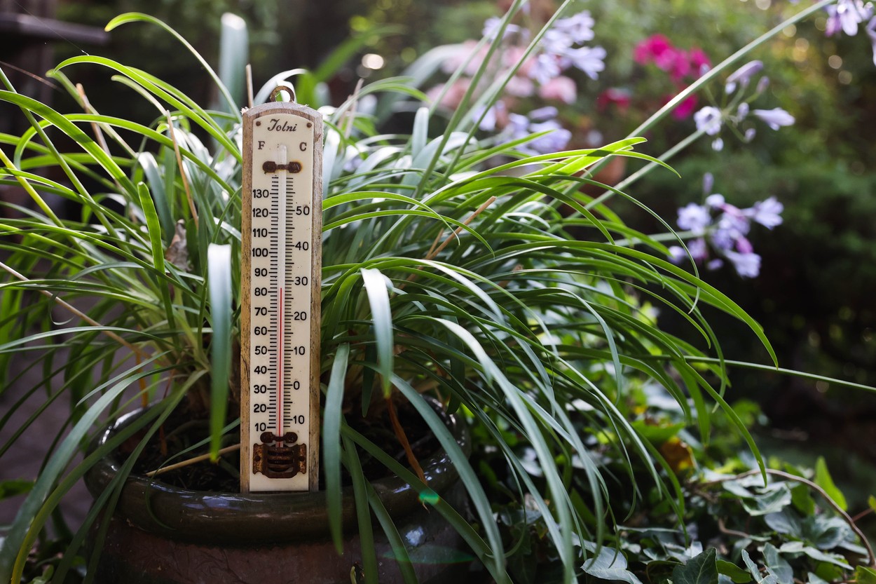 Marea Britanie va avea cea mai fierbinte zi din istorie. Temperaturile vor ajunge marți până la 42 de grade Celsius