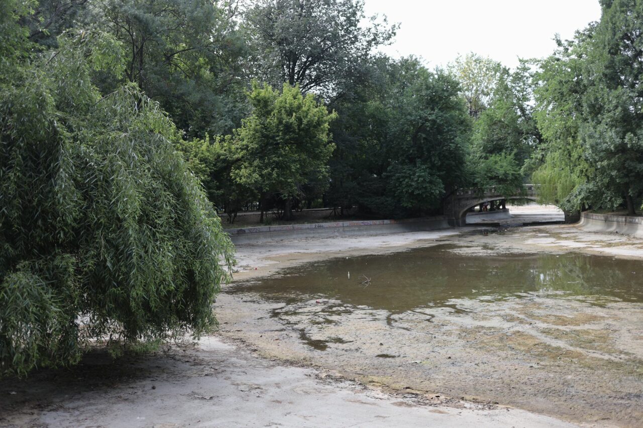 De ce a fost secat lacul din Cișmigiu: „Au fost puse în siguranță viețuitoarele sălbatice, precum păsări sau șerpi” | GALERIE FOTO