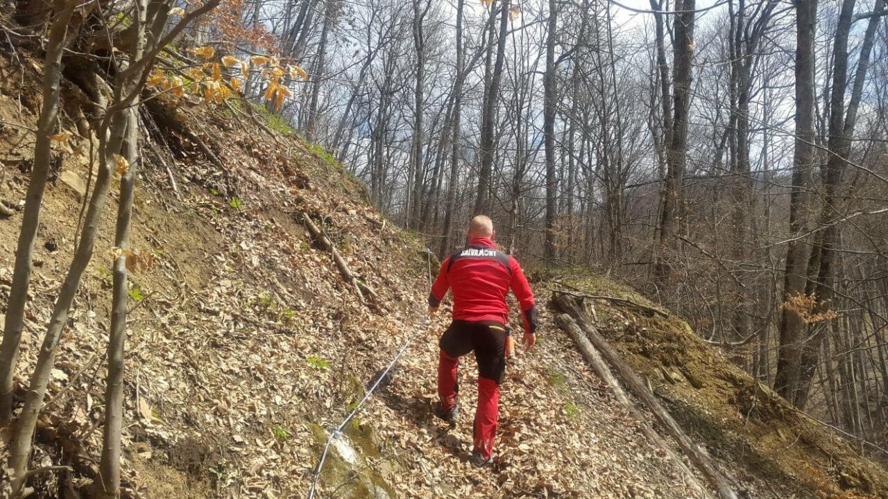 Salvamontiștii din Covasna au închis mai multe trasee turistice din staţiunea Balvanyos, după apariția urșilor în zonă