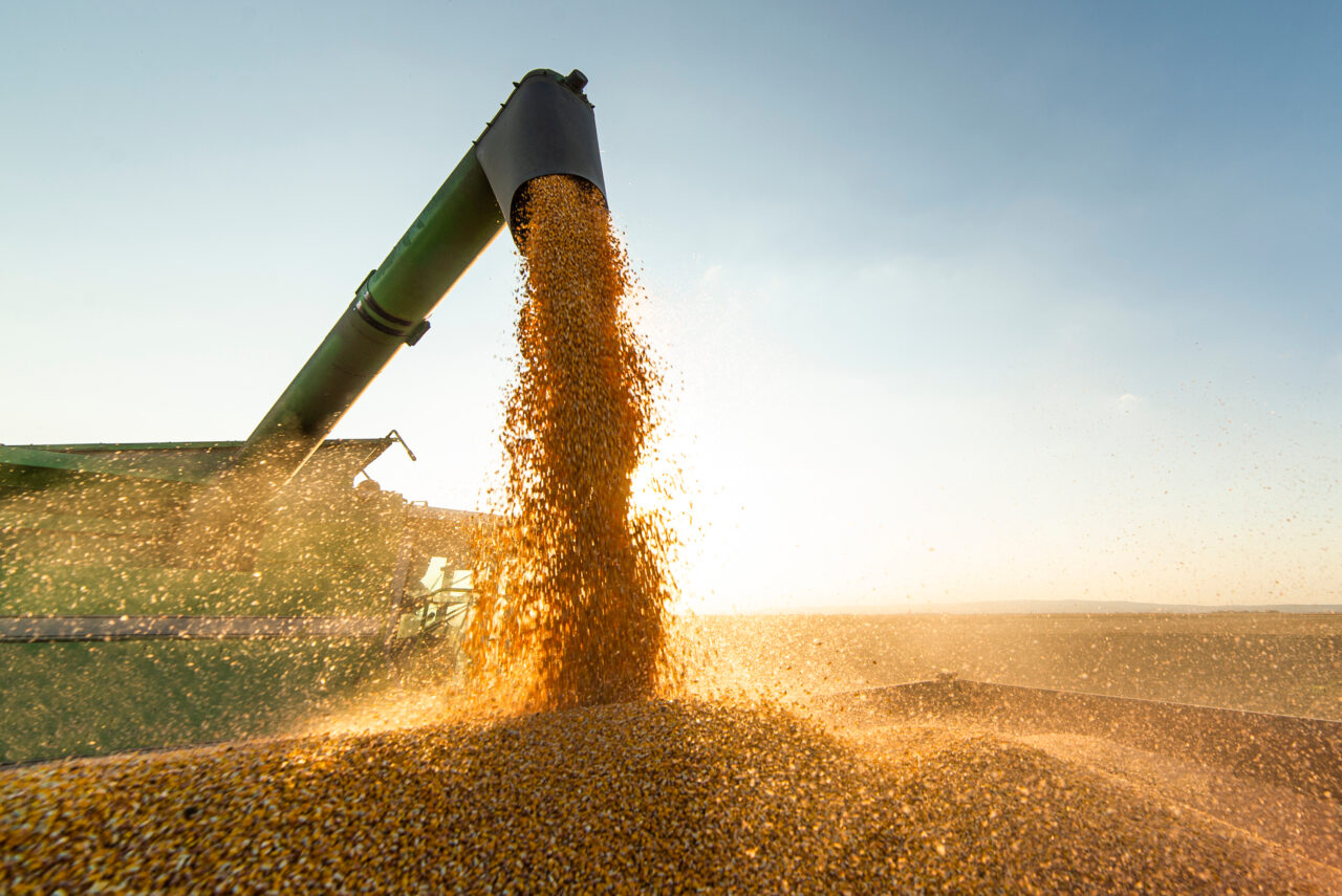 UE va reduce sancțiunile impuse asupra băncilor rusești, pentru a atenua criza alimentară mondială
