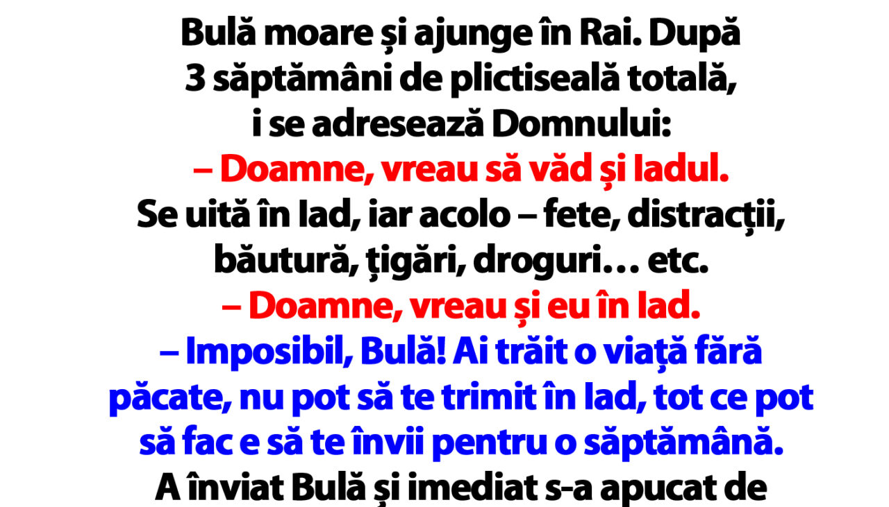 BANC | Bulă moare și ajunge în Rai. După 3 săptămâni de plictiseală totală, i se adresează Domnului
