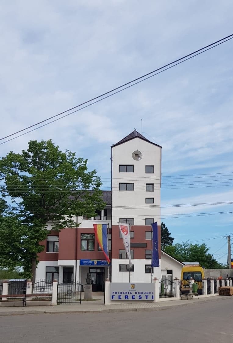 Apel pe Facebook: Asistații social din comuna Ferești, chemați de Primărie „cu un topor asupra lor” ca să taie lemne