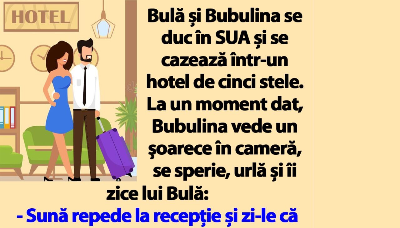 BANC | Bulă și Bubulina se duc în SUA și se cazează într-un hotel de cinci stele