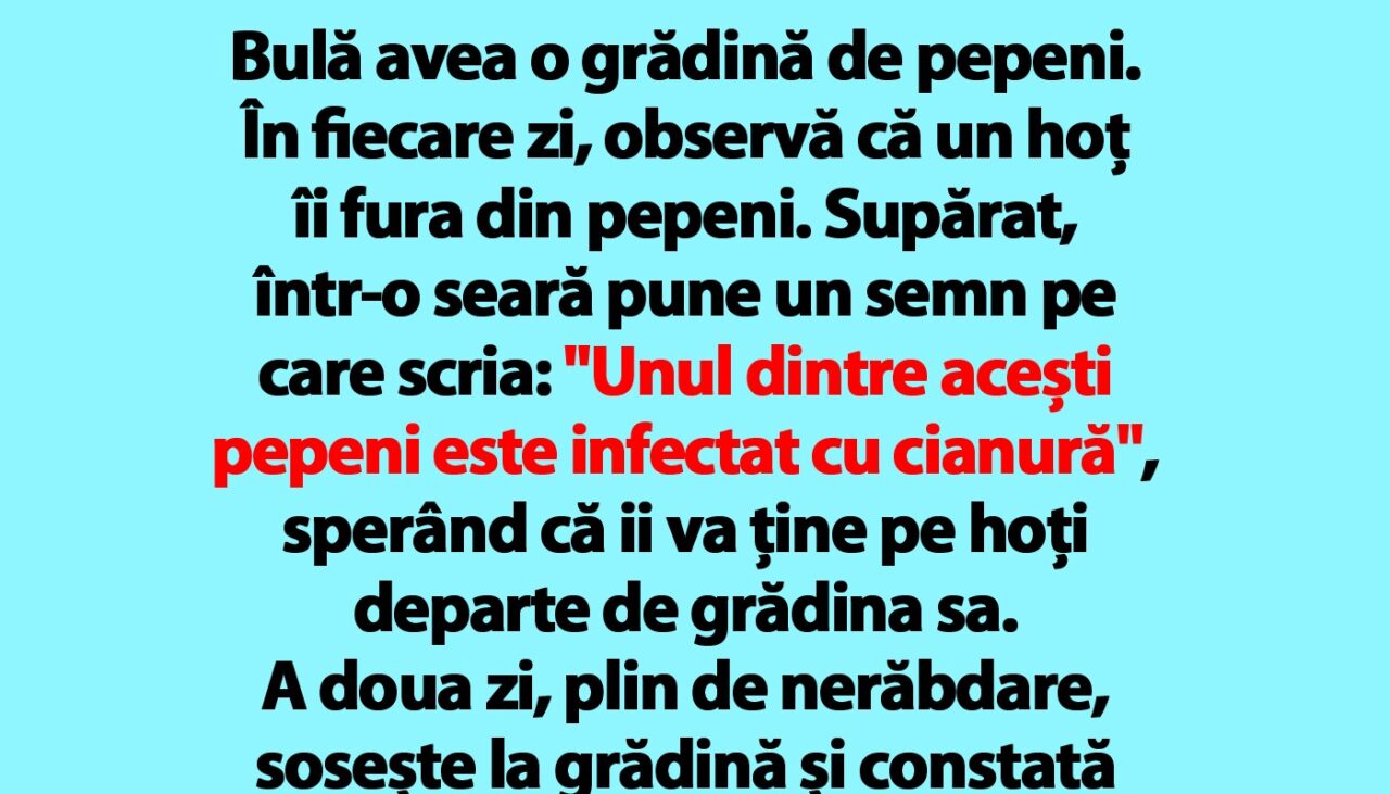 BANC | Bulă avea o grădină de pepeni. În fiecare zi, observă că un hoț îi fura câte unul