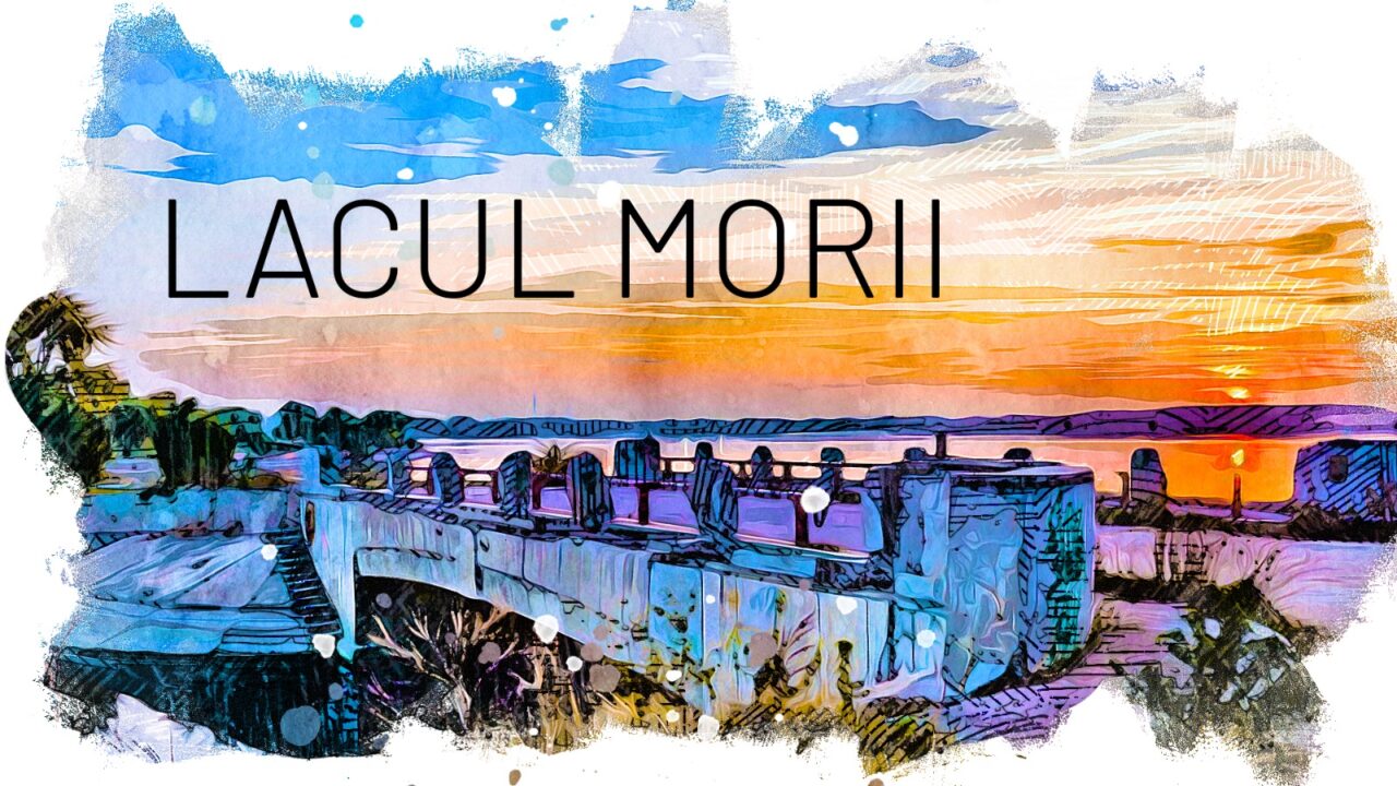 VIDEO Lacul Morii, cea mai mare întindere de apă din Capitală. Ar trebui să asigure apa potabilă pentru toți bucureștenii în caz de calamitate (DOCUMENTAR)