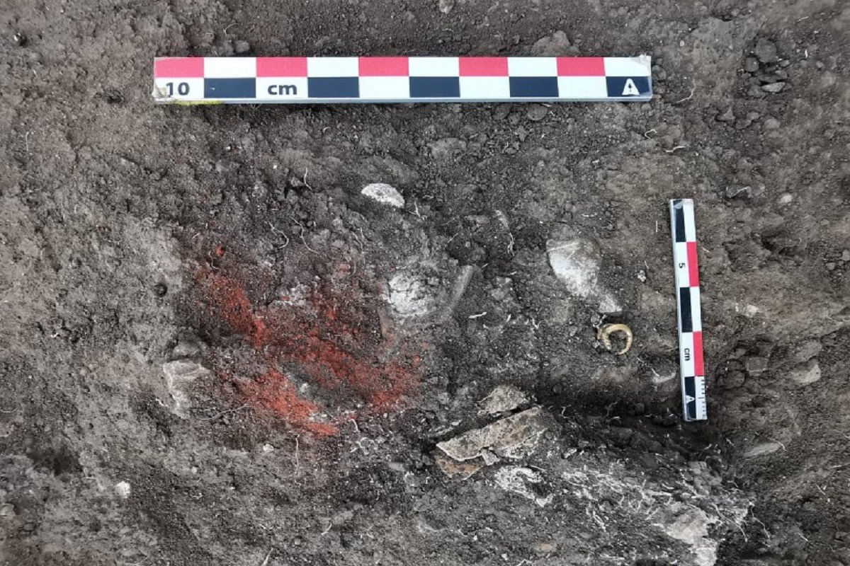 Trei morminte din epoca bronzului au fost descoperite lângă Ploiești. Ce s-a găsit într-unul dintre ele