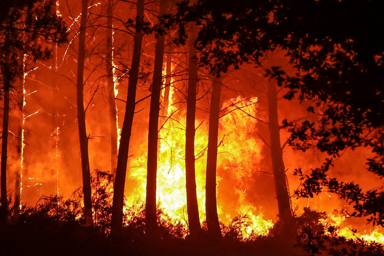 Arafat: România va trimite 77 de pompieri în Franța pentru a ajuta la stingerea incendiilor de vegetație