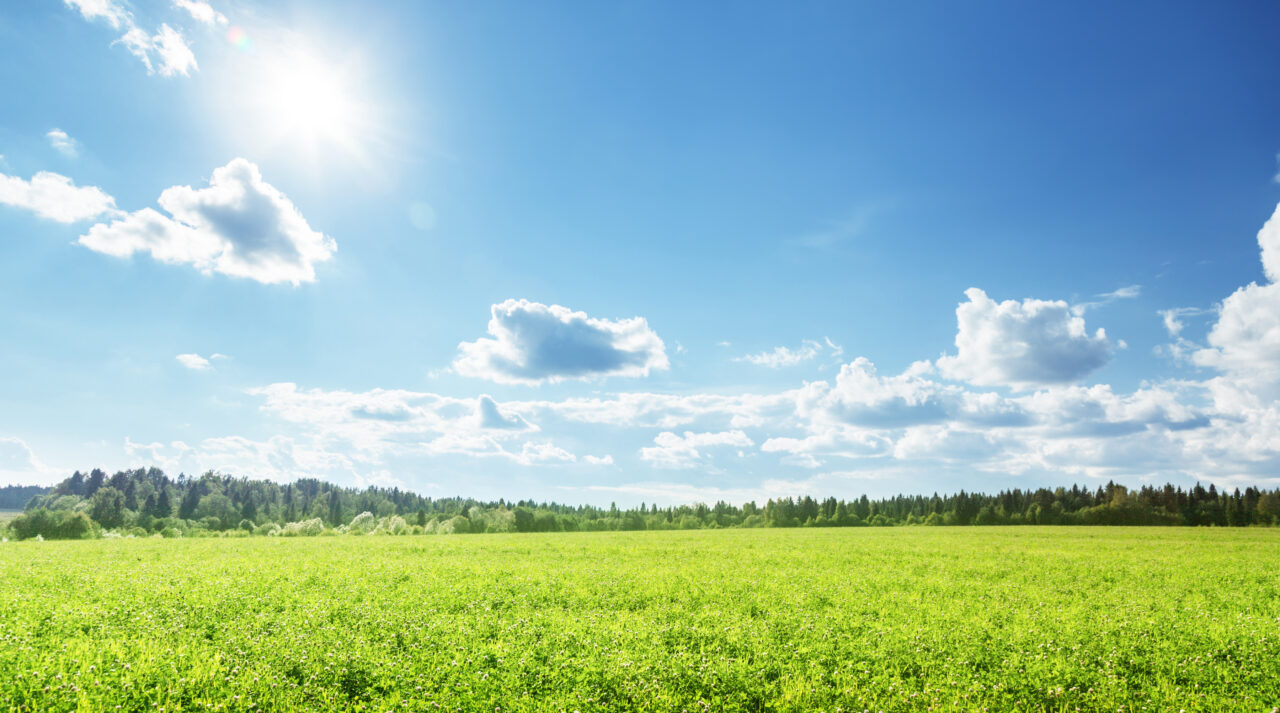 Meteorologii anunță temperaturi de vară în mijlocul toamnei, după ce un val de aer cald va traversa România. Cum va fi vremea în luna noiembrie