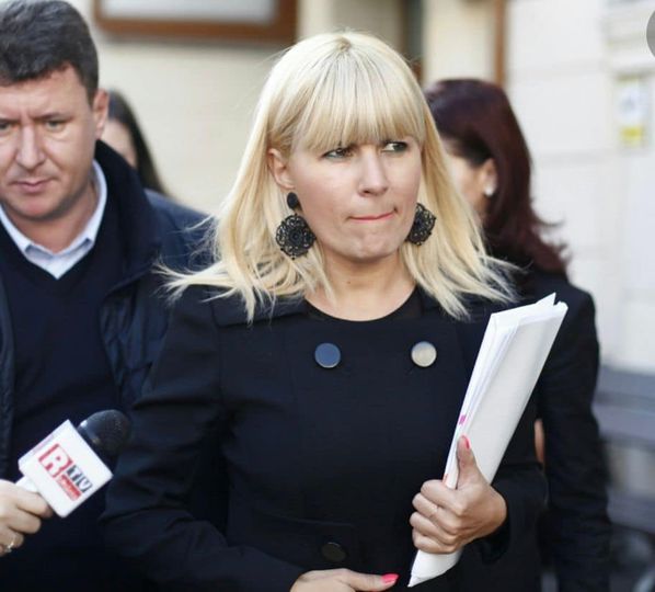 Elena Udrea: „Mă gandesc să cer și eu să fiu declarată nebună și lipsită de discernământ”