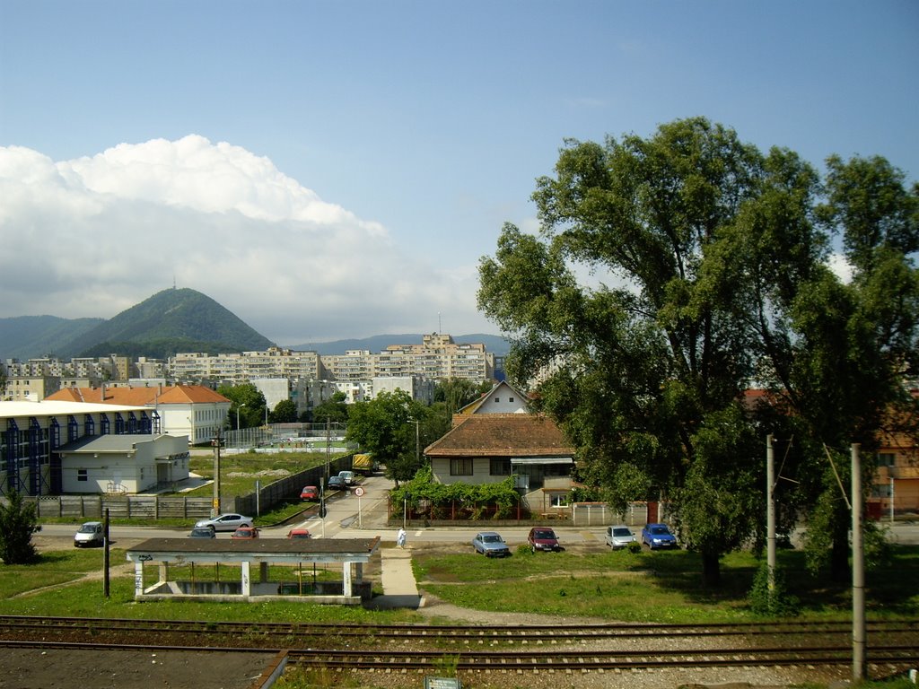 Un adolescent în vârstă de 17 ani a fost lovit de tren, în zona unui parc din Brașov