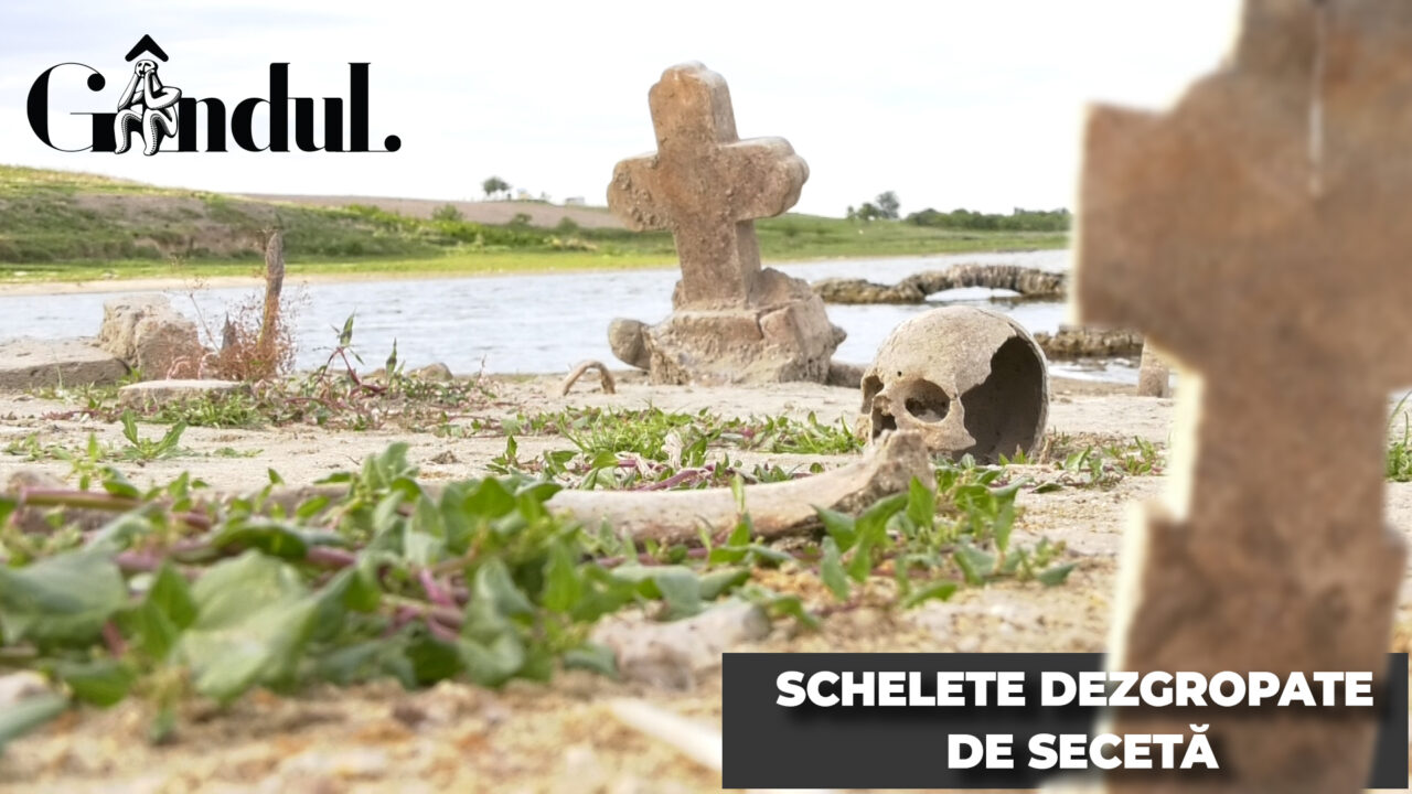 VIDEO | Schelete dezgropate de secetă, după ce nivelul unui lac din Călărași a scăzut (REPORTAJ)