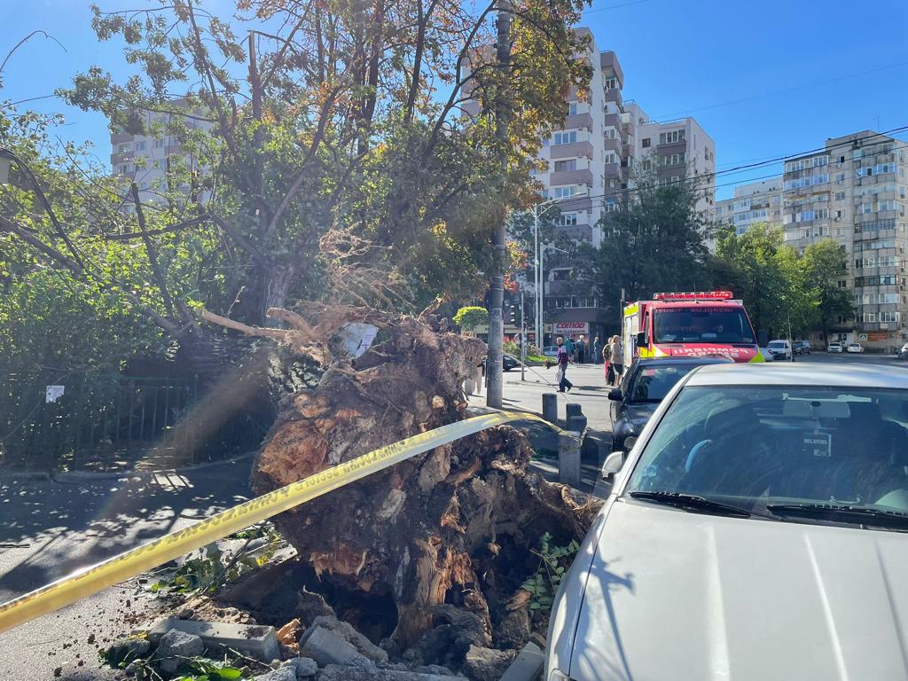 VIDEO | ANM a emis coduri portocalii de vânt puternic pentru opt județe. În Capitală, pompierii intervin în peste 20 de cazuri de copaci căzuți