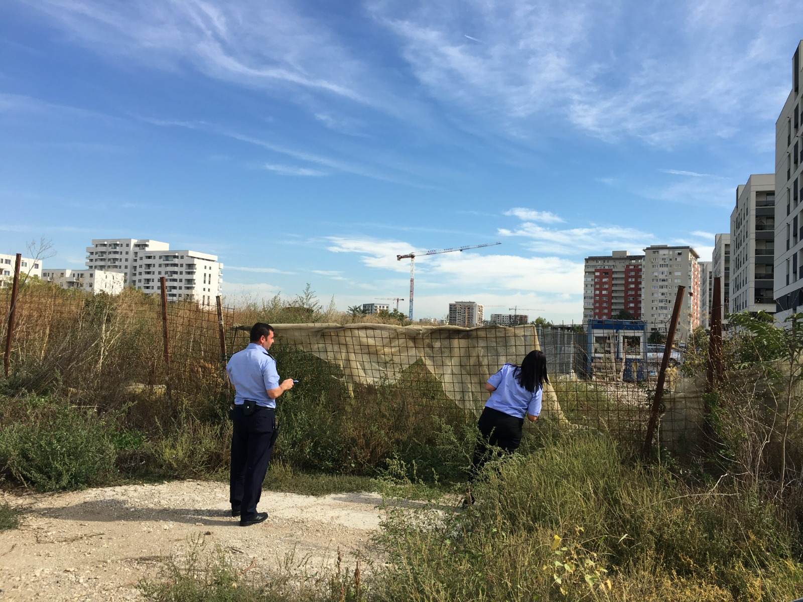 Amenzi de peste jumătate de milion de lei pentru cei care nu-și curăță  terenurile de ambrozie