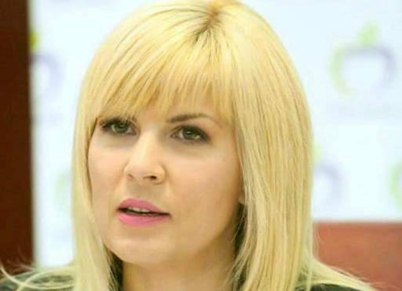 Elena Udrea, despre veto-ul Austriei și Olandei la adresa României: „Să mai fie şi nişte bărbaţi adevăraţi, nu rujaţi şi cu fuste”