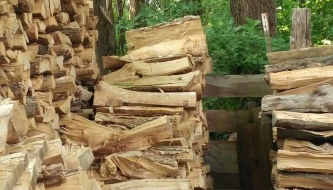 Iluzie optică aproape imposibilă | Găsiți pisica ascunsă în această poză! Doar 1 dintre 100 de oameni o văd