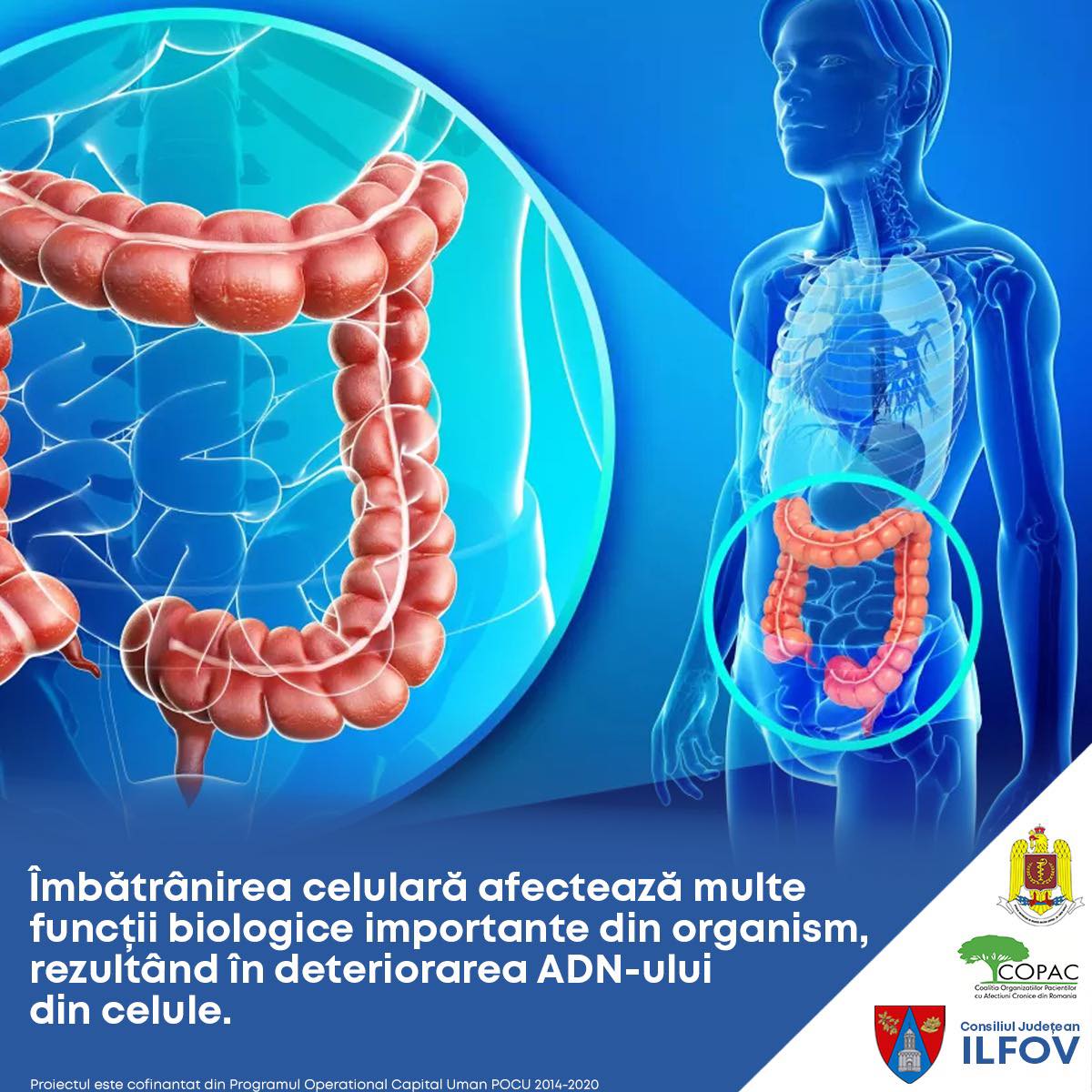 Consiliul Județean Ilfov desfășoară un program de prevenție, depistare precoce, diagnostic și tratament precoce al leziunilor precanceroase colorectale
