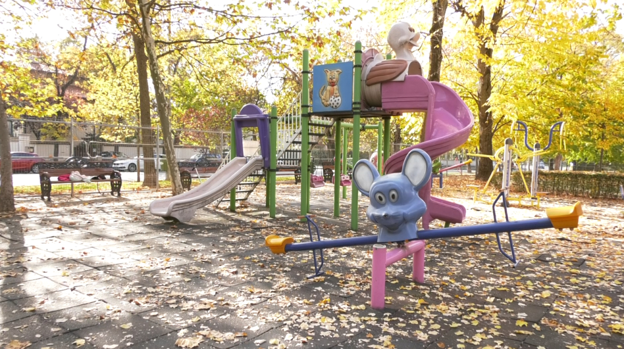 Nicușor Dan, după ce un copac putred s-a PRĂBUȘIT într-un parc din București: „Există o constanță a acestui fenomen”
