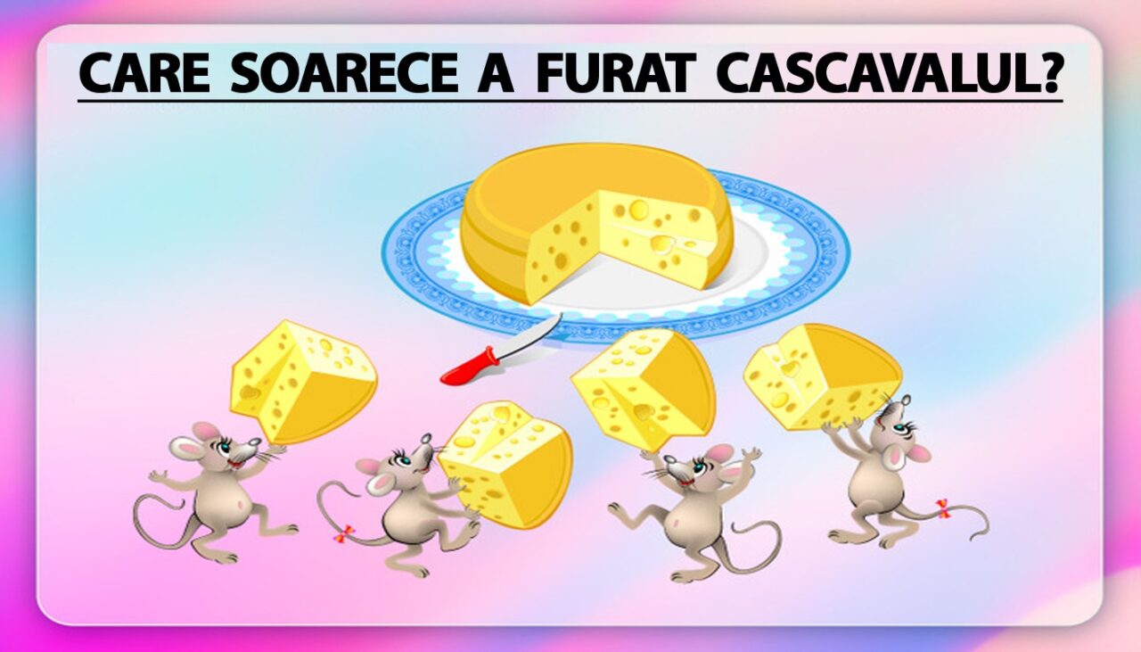 Test de logică | Care dintre cei 4 șoricei a furat bucata de cașcaval?