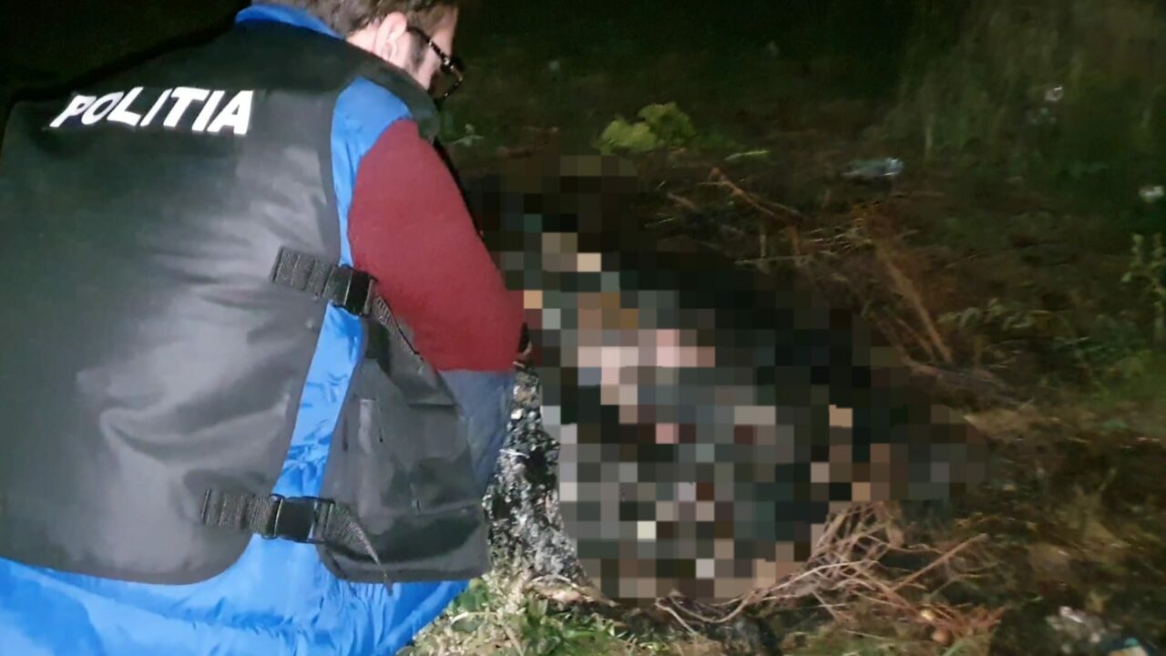 Un bărbat care și-a incendiat câinele a fost reținut pentru uciderea animalelor. A fost deranjat că ar fi fost „prea gălăgios”