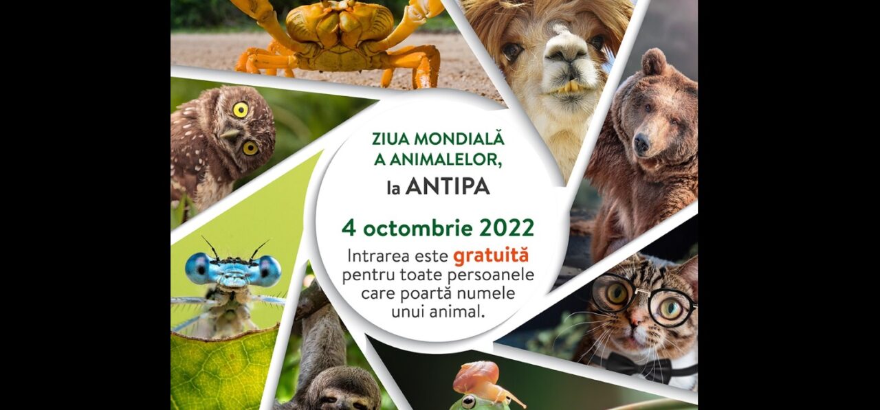 Oferta Muzeului Antipa pentru Ziua Internațională a Animamelor a stârnit reacții savuroase pe internet. „Răzvan-Nicușor Balaur: Numele meu se pune?”