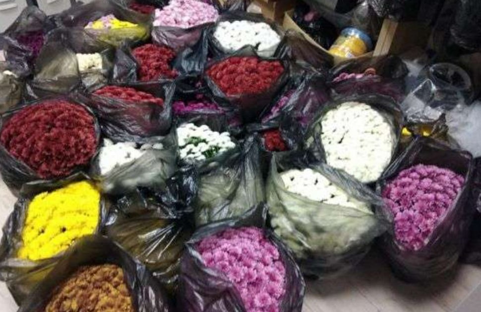 Un clujean făcuse o adevărată afacere cu florile din cimitir. Fura ghivecele de pe morminte și apoi la vindea