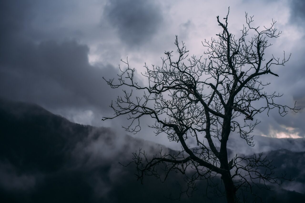 Prognoza meteo până la jumătatea lunii noiembrie. Când vine iarna în România