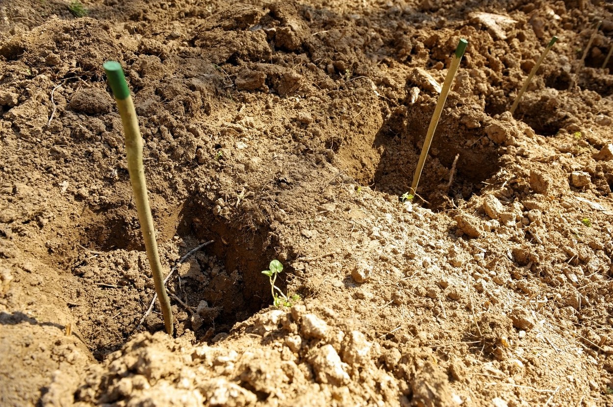 Un craniu a fost găsit pe Faleza Dunării din Galaţi