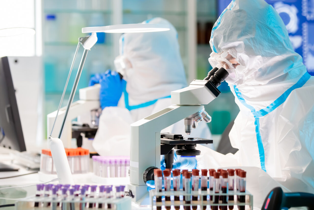Studiu: Un virus al maimuțelor, similar cu Ebola, ar putea trece la om. Virusul are potențialul de a provoca o nouă pandemie